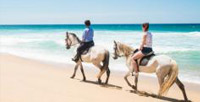 II Passeio a Cavalo na Praia