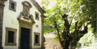 Trilho de Monte Faro