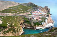 Passeio à ilha da Berlenga