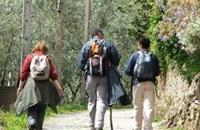 Grande Rota das Montanhas M&aacute;gicas - 7&ordf; etapa